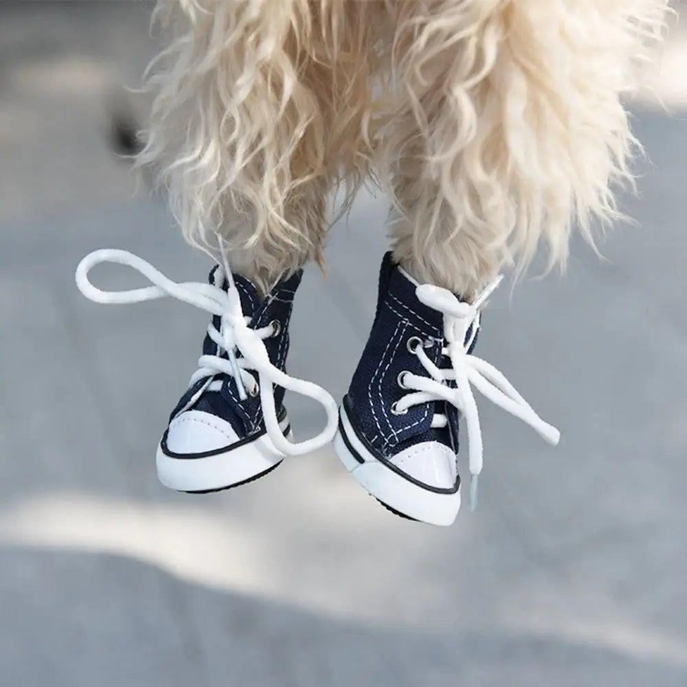 Chaussure chien | Toile de Denim