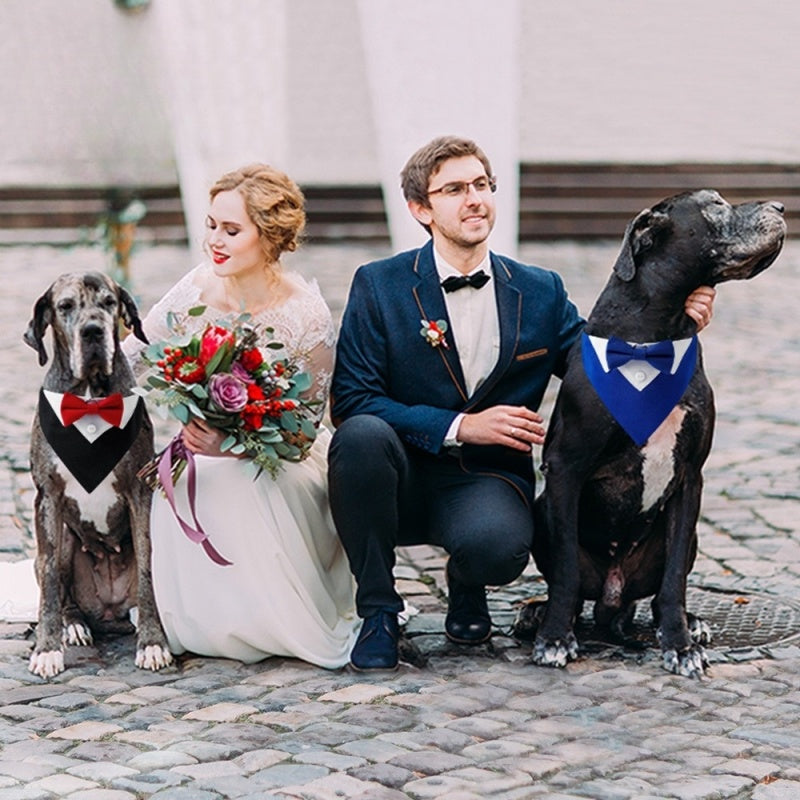 Bandana chien | Smoking Formel