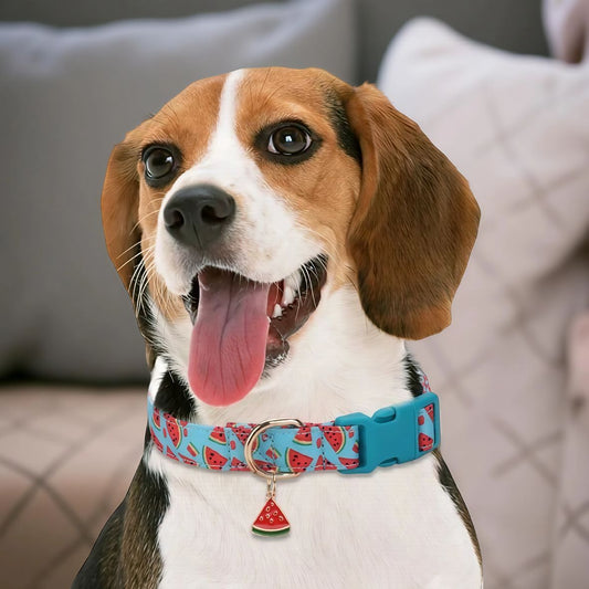 COLLIER CHIEN AVEC PENDENTIF DE FRUITS