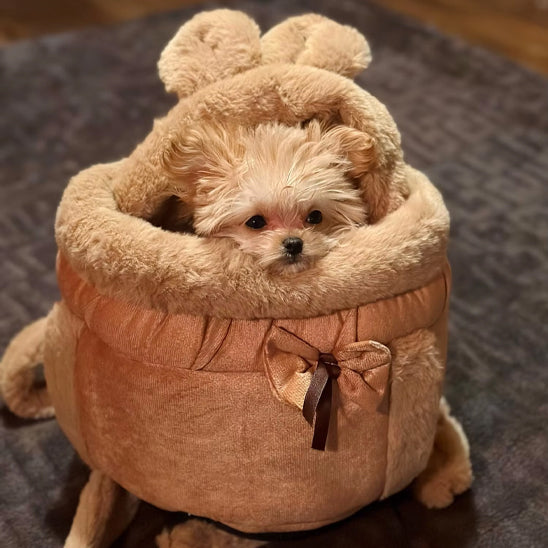 SAC A DOS CHIEN | PELUCHE D'HIVER