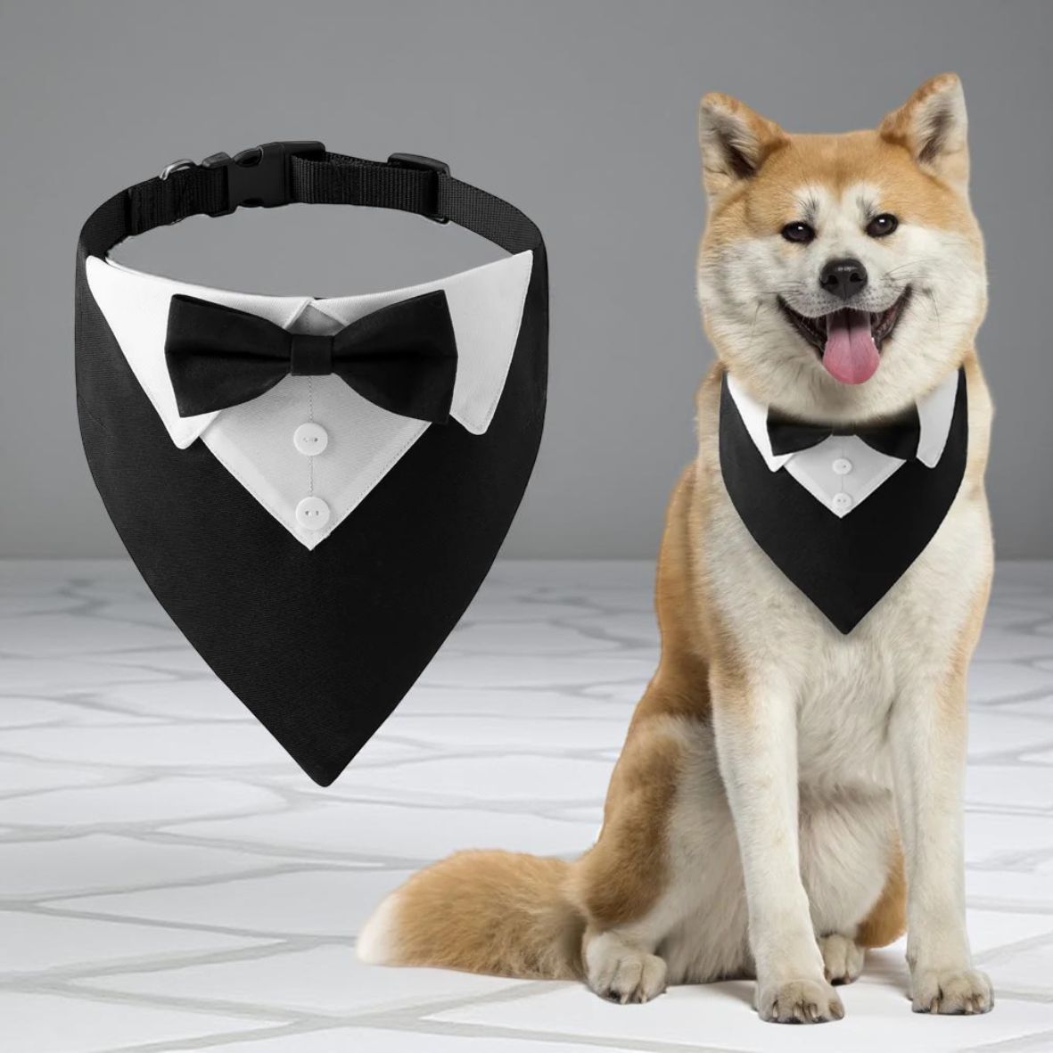Bandana chien | Smoking Formel