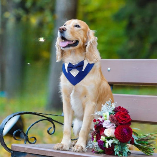 Bandana chien | Smoking Formel