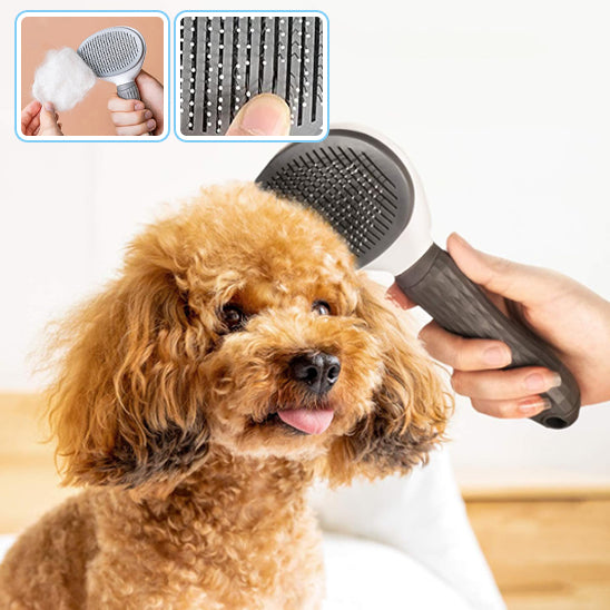 BROSSE DE TOILETTAGE CHIEN - PEIGNE AUTO NETTOYANT DE SOINS