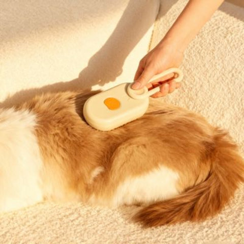 Brosse pour chien anti noeuds belle