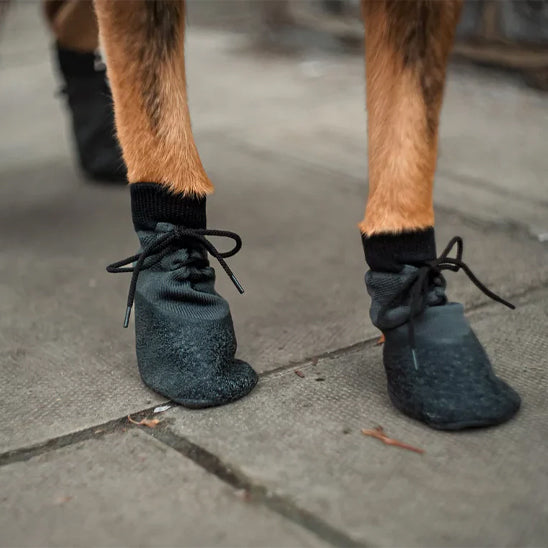 Chausson pour chien gris en coton