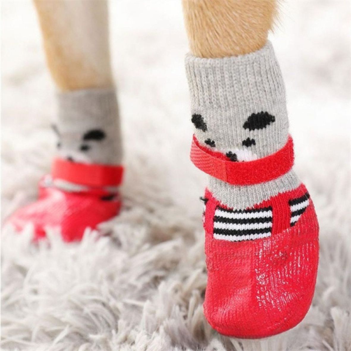 Chaussure chien | Couvre-pieds Teddy