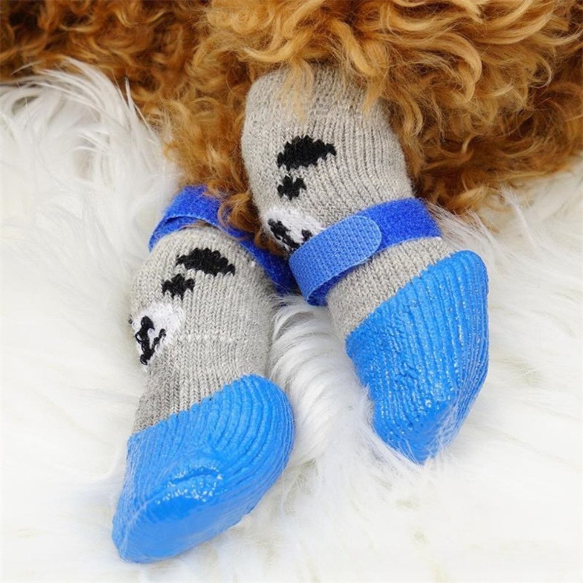 Chaussure chien | Couvre-pieds Teddy