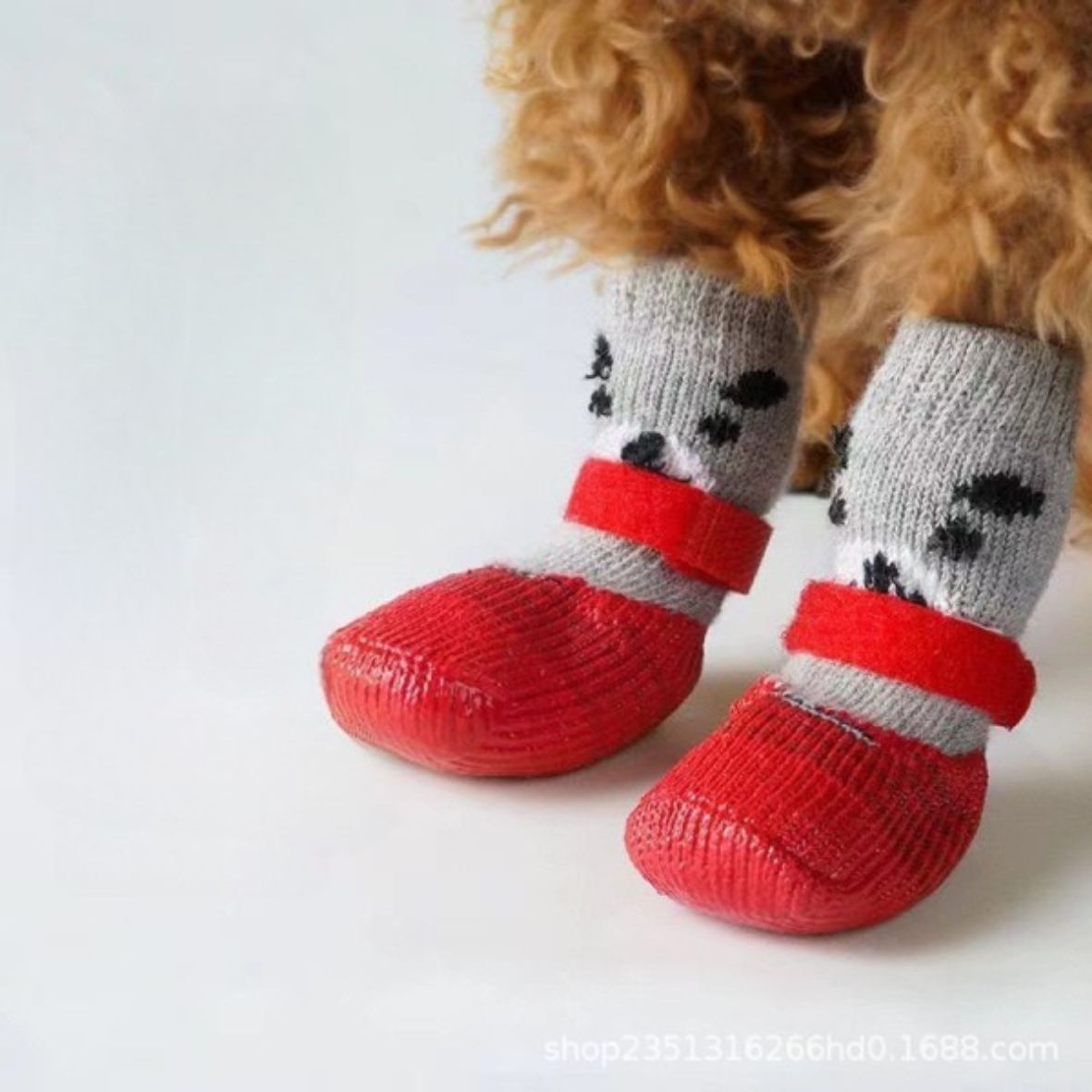 Chaussure chien | Couvre-pieds Teddy