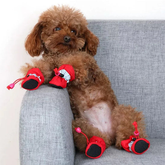 Chaussures chien | Bottes imperméables