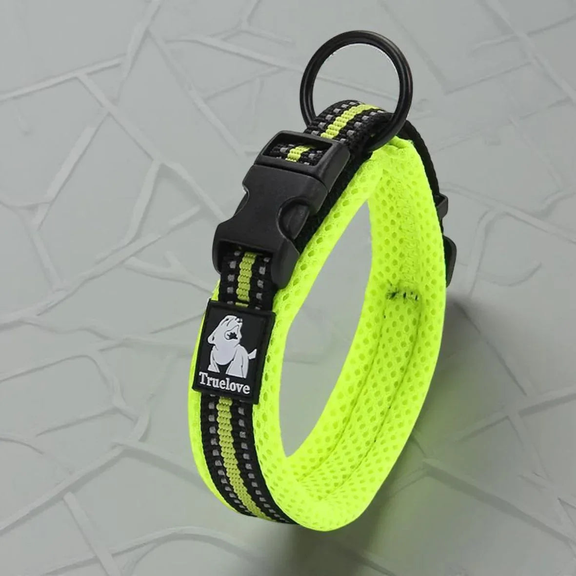 Collier pour Chien Nylon Reflechissant Truelove vert