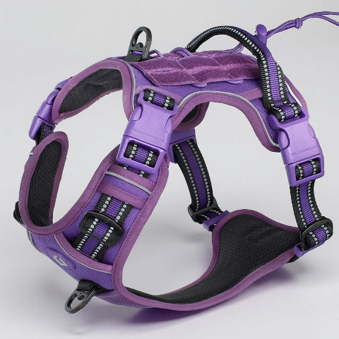 Harnais militaire chien Gilet Molle Violet