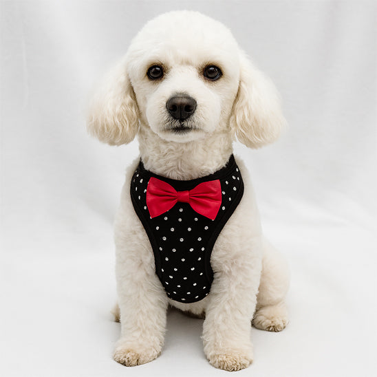 Harnais pour petit chien | Gilet avec petit diamants