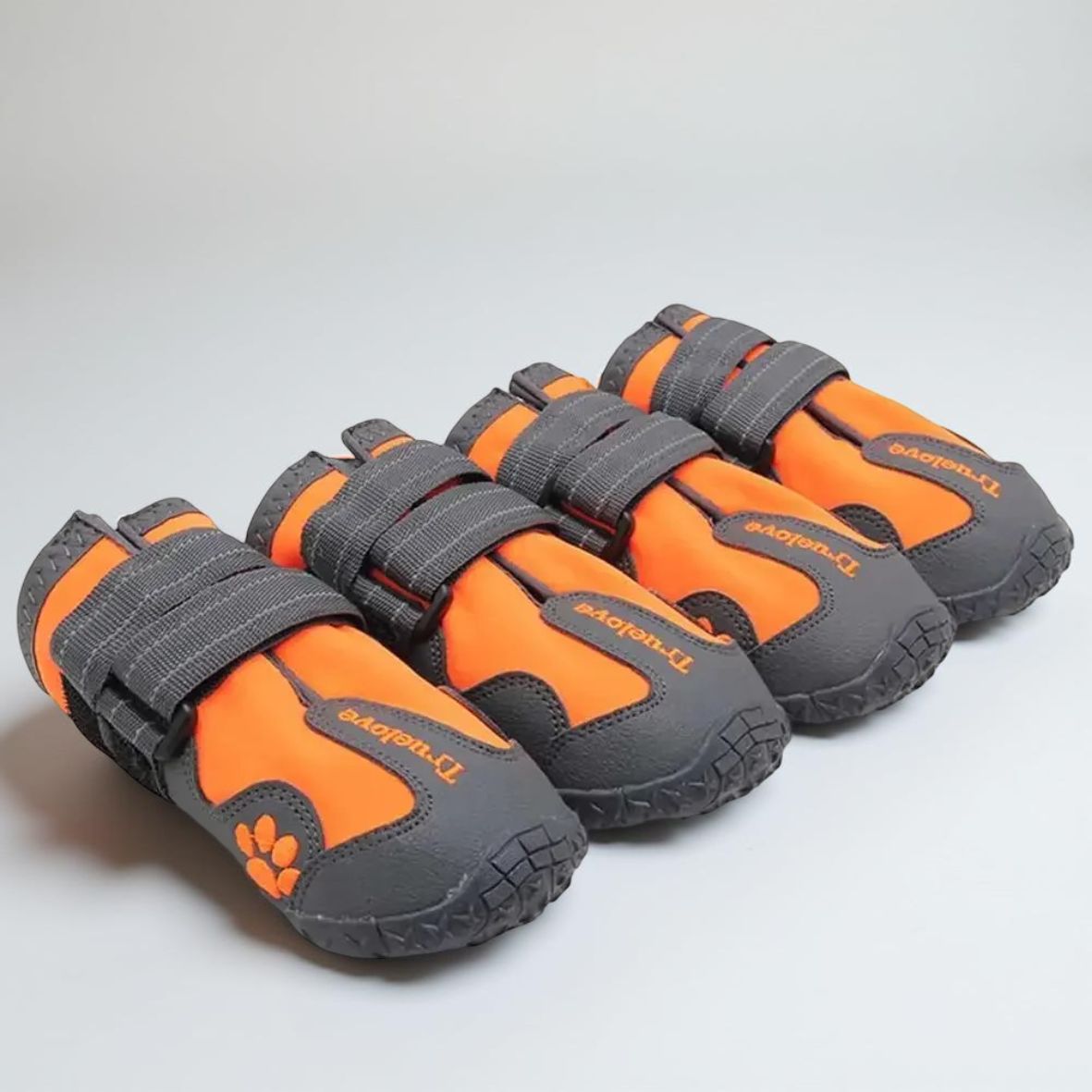 Chaussures pour chien | Truelove