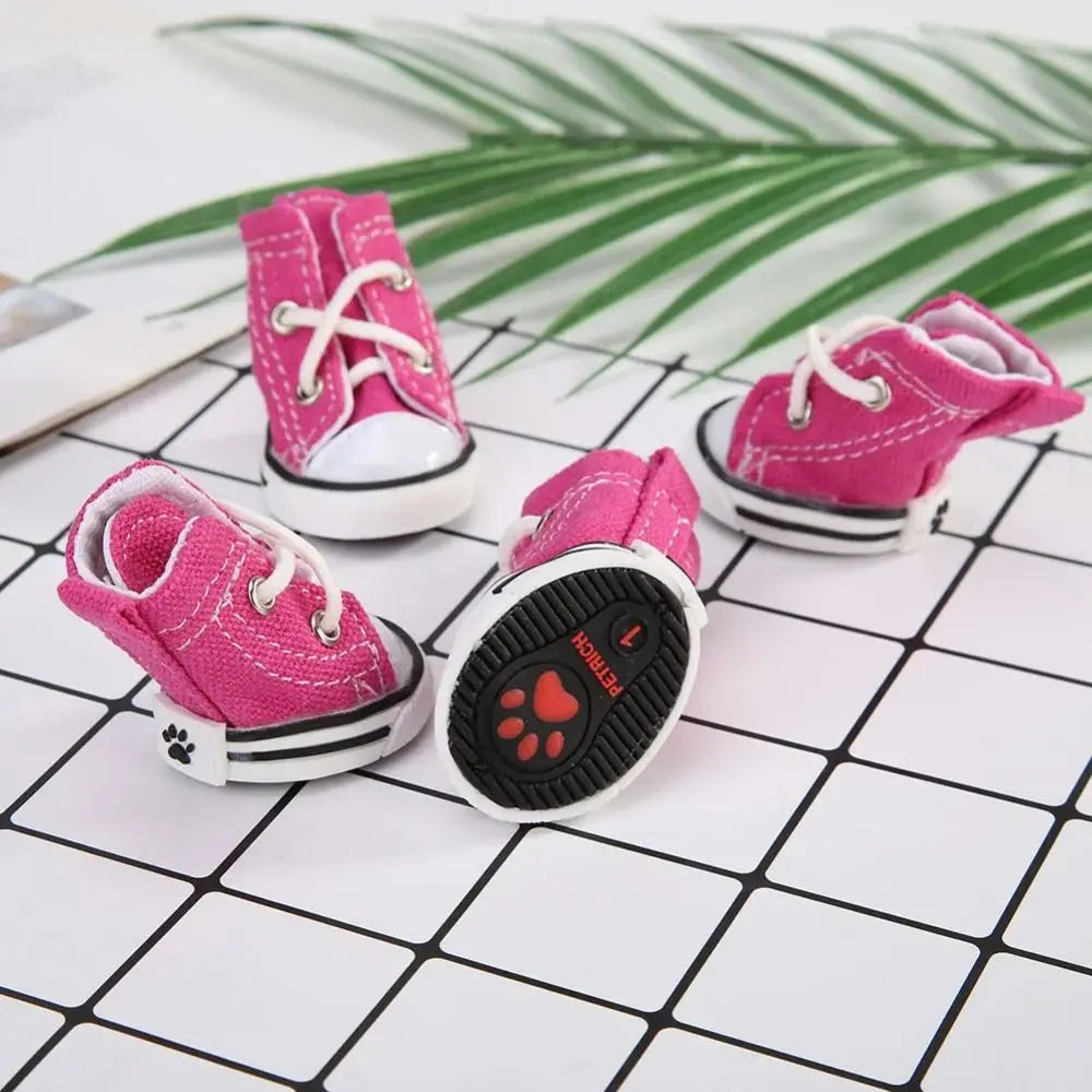 Chaussure chien | Toile de Denim