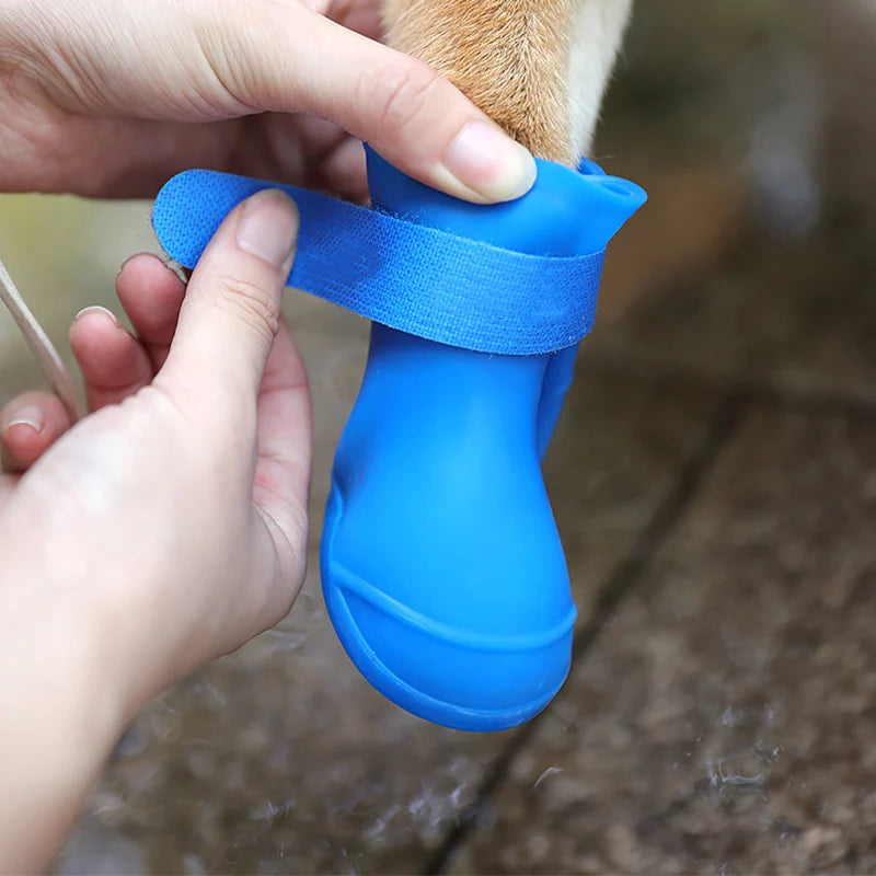 Chaussure pour chien | Bottine en caoutchouc