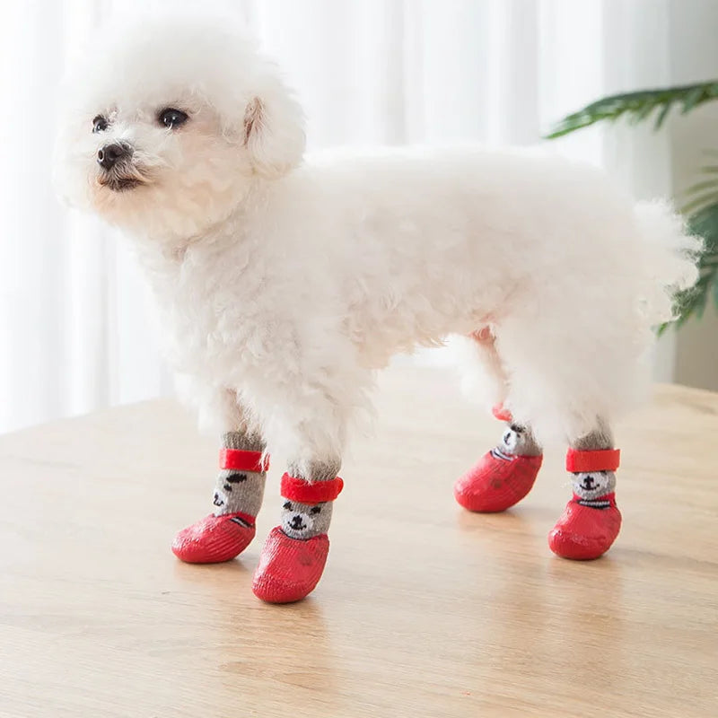 Chaussure chien | Couvre-pieds Teddy