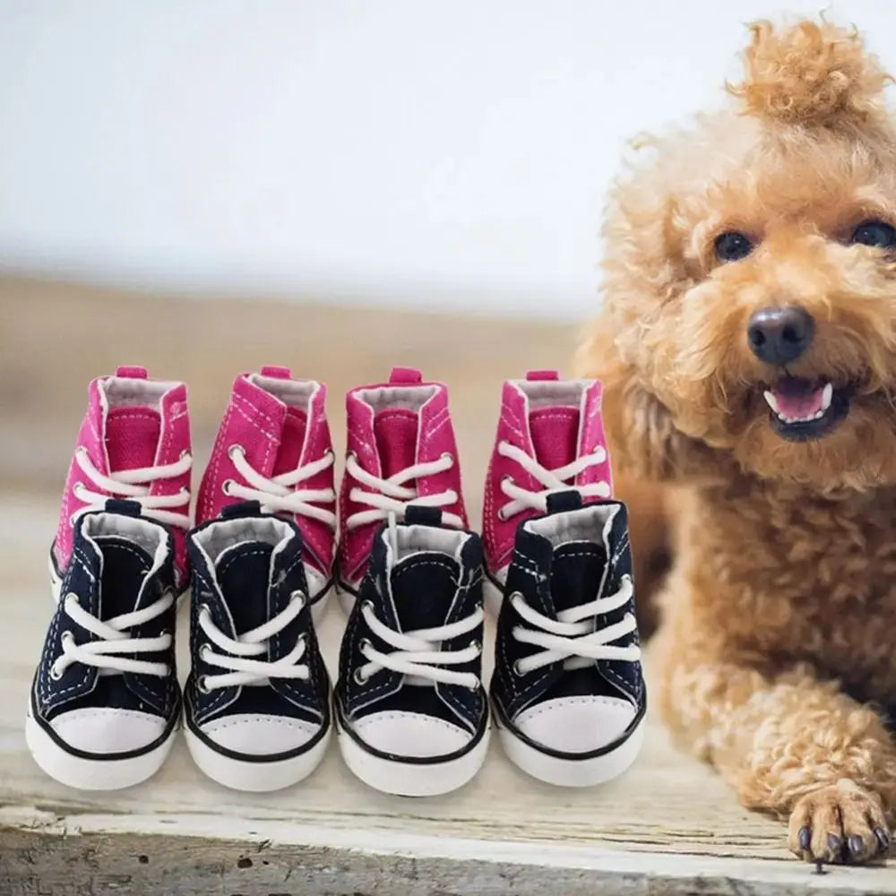 Chaussure chien | Toile de Denim