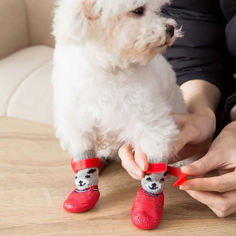 Chaussure chien | Couvre-pieds Teddy