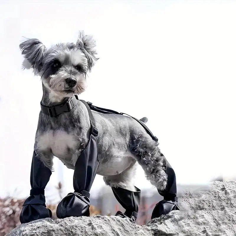 Bottes pour chien | Imperméable à bretelles