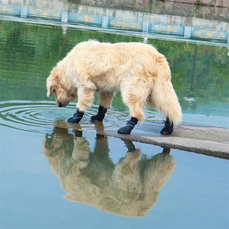 Chausson pour chien gris en coton