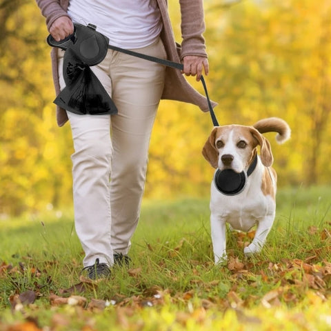 beagle qui porte la laisse pour chien multifonction 3 en 1 qui se promene avec sa proprietaire