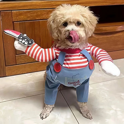 bichon frise qui porte le deguisement chien adorable