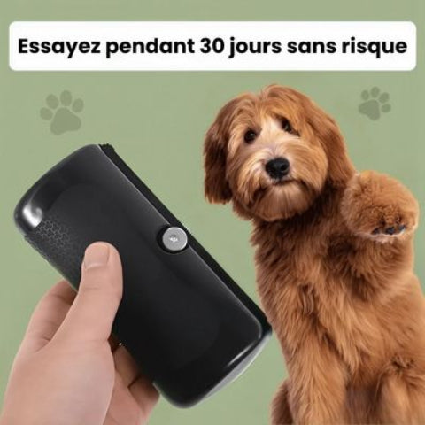 brosse a chien sans risque