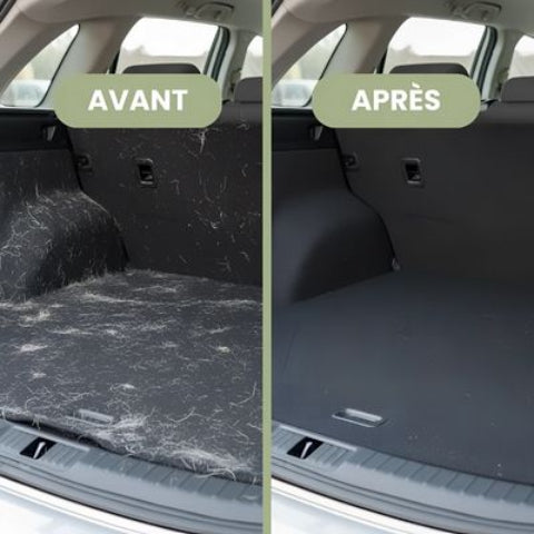 brosse pour chien essentiel