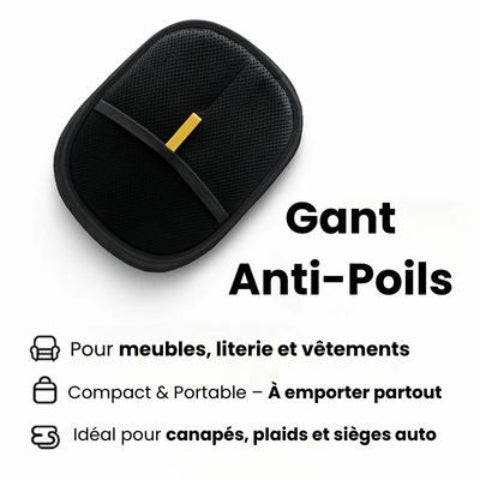 brosse pour chien ideal pour les meubles