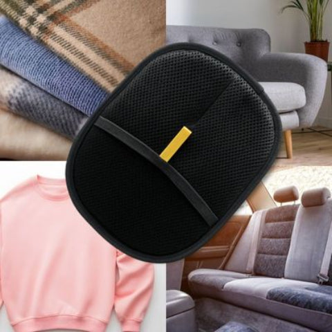 brosse pour chien passe partout