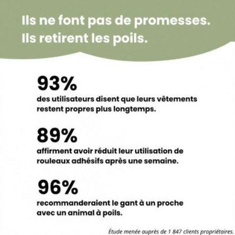 brosse pour chien propre