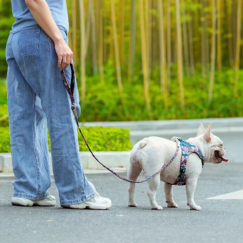 bulldog qui se promene avec proprietaire en portant la laisse de chien Floral Truelove ultra resistant