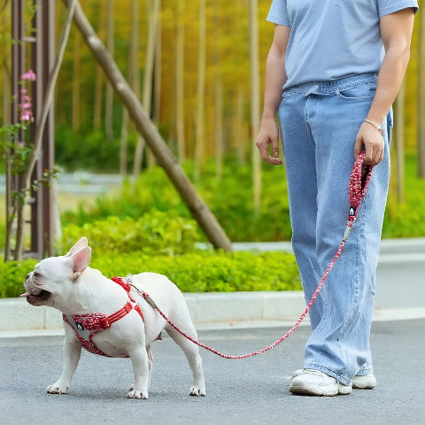 bulldog qui se promene avec une fille dans la rue en portant la laisse de chien Floral Truelove chic