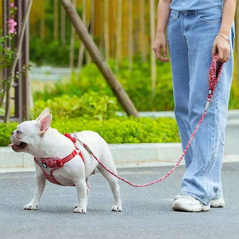 bulldog qui se promene avec une fille en portant la laisse de chien Floral Truelove confortable et flexible