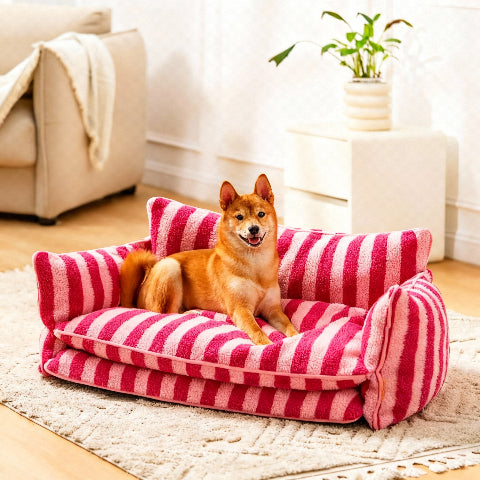 canape pour chien design ergonomique