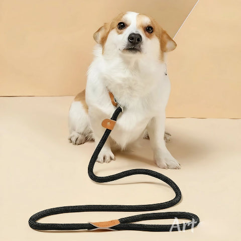 chien qui porte la laisse pour chien Corde coulissante en plomb noire essentielle
