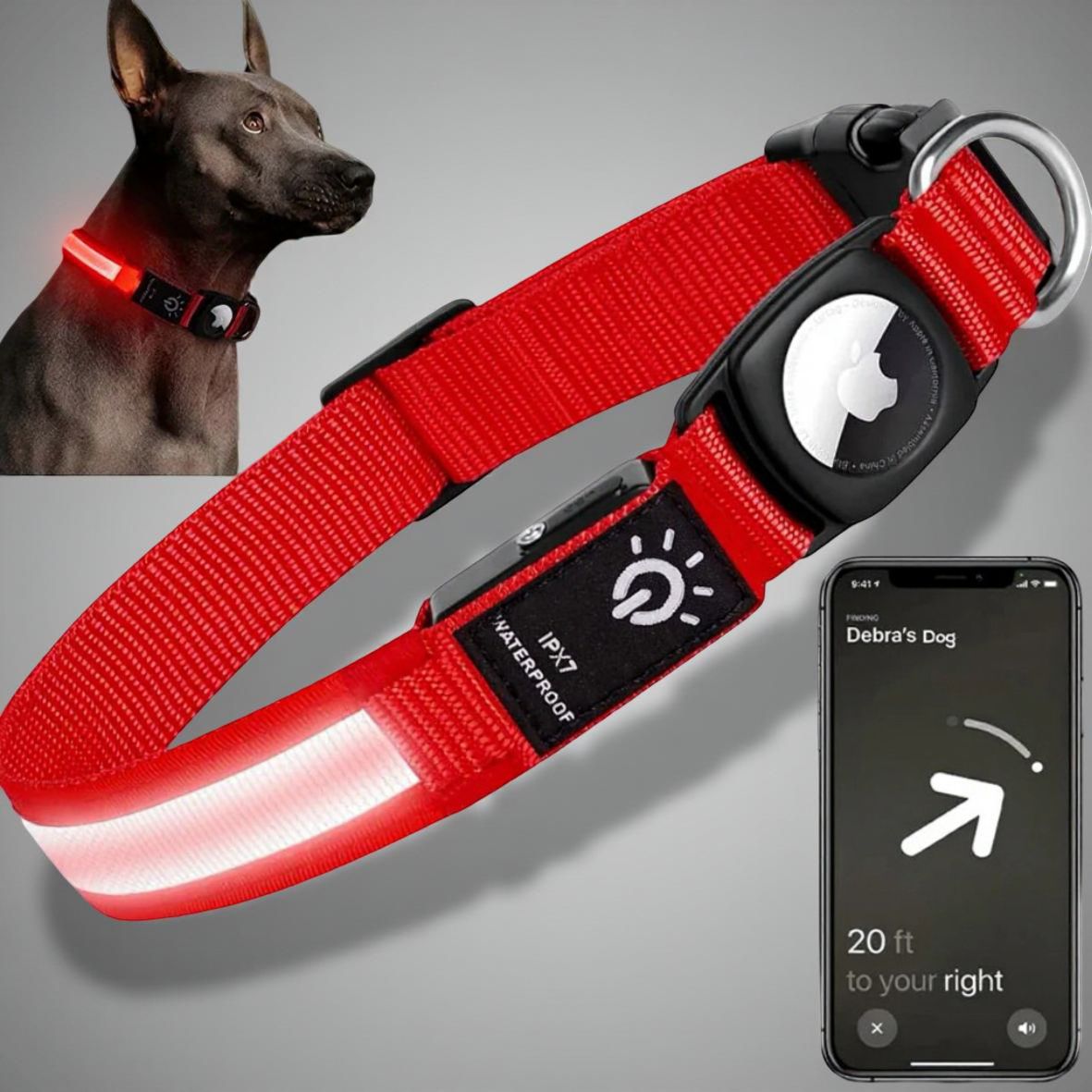 COLLIER GPS CHIEN | AIRTAG LED™