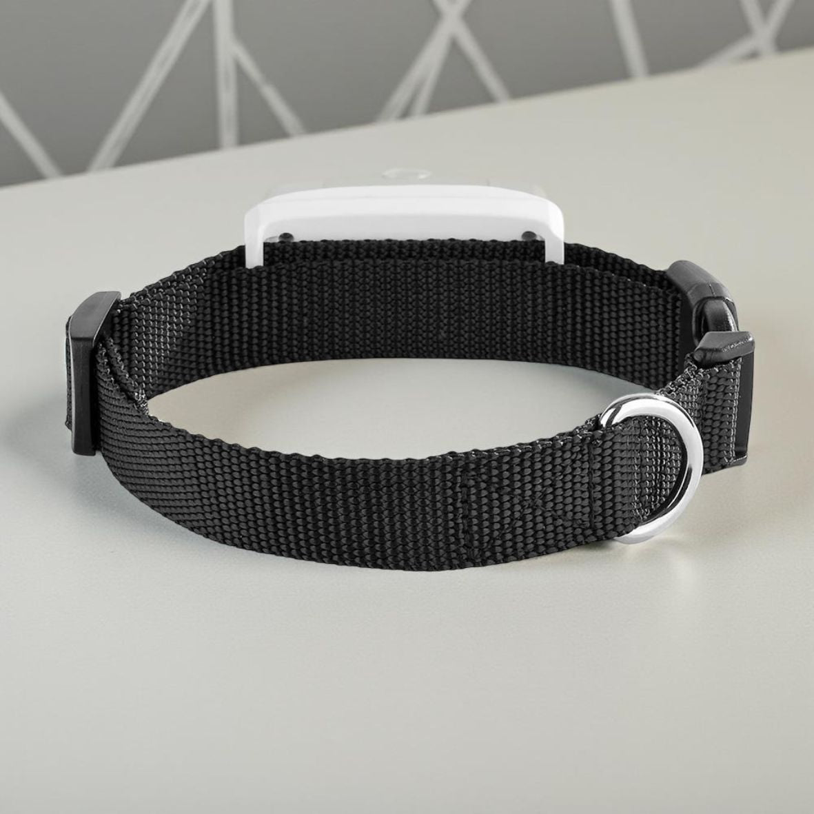 collier GPS chien blanc durable