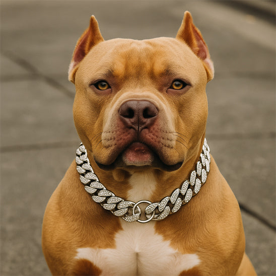 COLLIER CHIEN | CHAÎNE INCRUSTÉE DE DIAMANTS