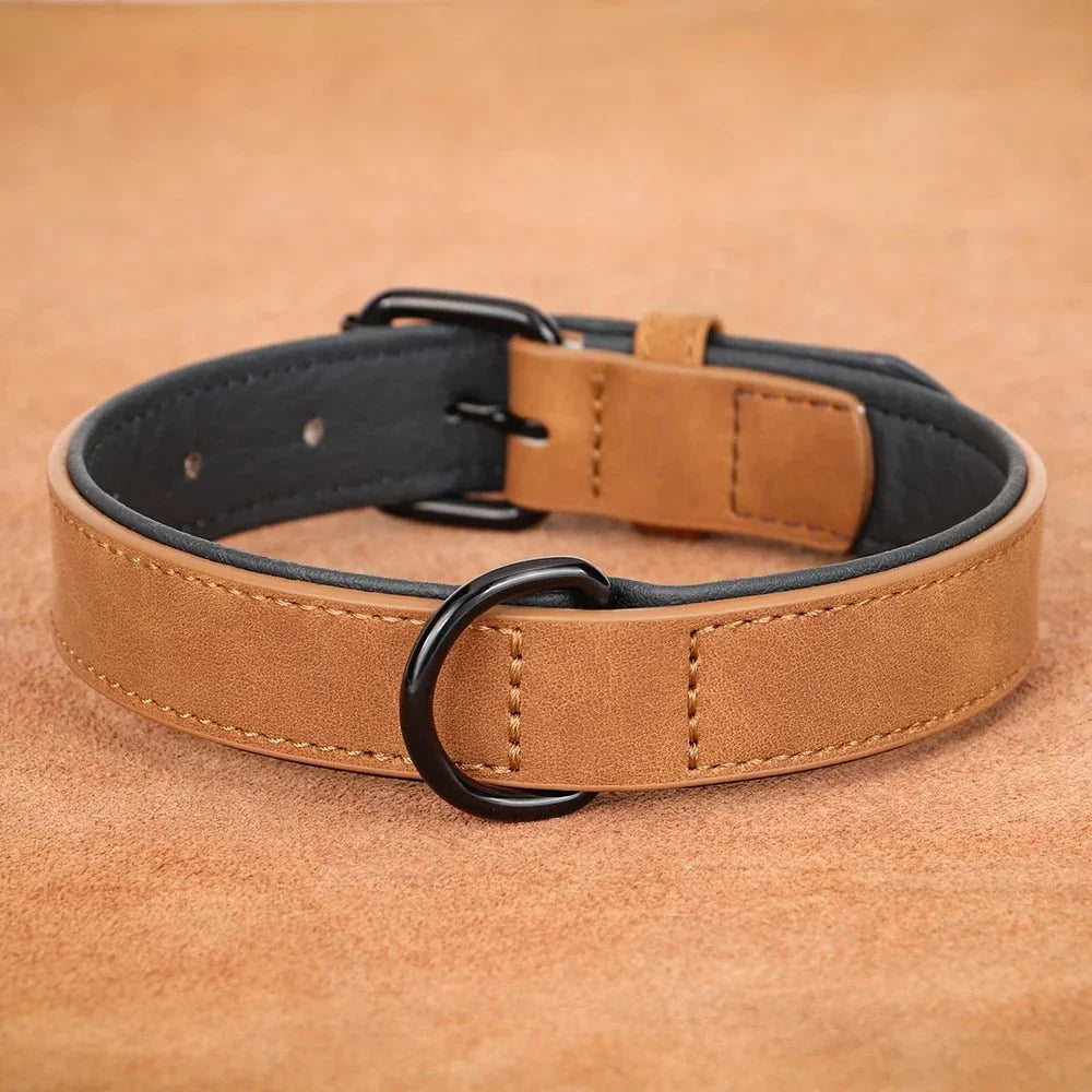 COLLIER CHIEN CUIR REMBOURRĂ SOUPLE | SOFTPAWS - Les chiens beaux