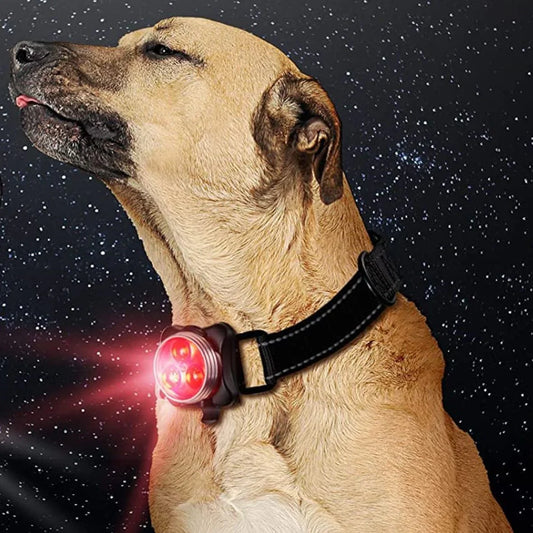 COLLIER CHIEN LUMINEUX | LED ROUGE PENDENTIF - Les chiens beaux