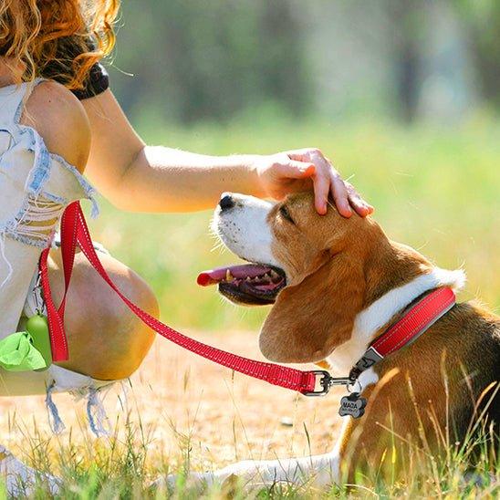 COLLIER CHIEN | NÉOPRÈNE REMBOURRÉ - Les chiens beaux