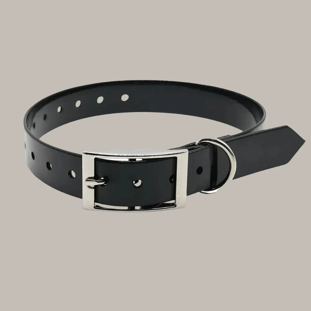 COLLIER CHIEN | TPU POLYURETHANE - Les chiens beaux