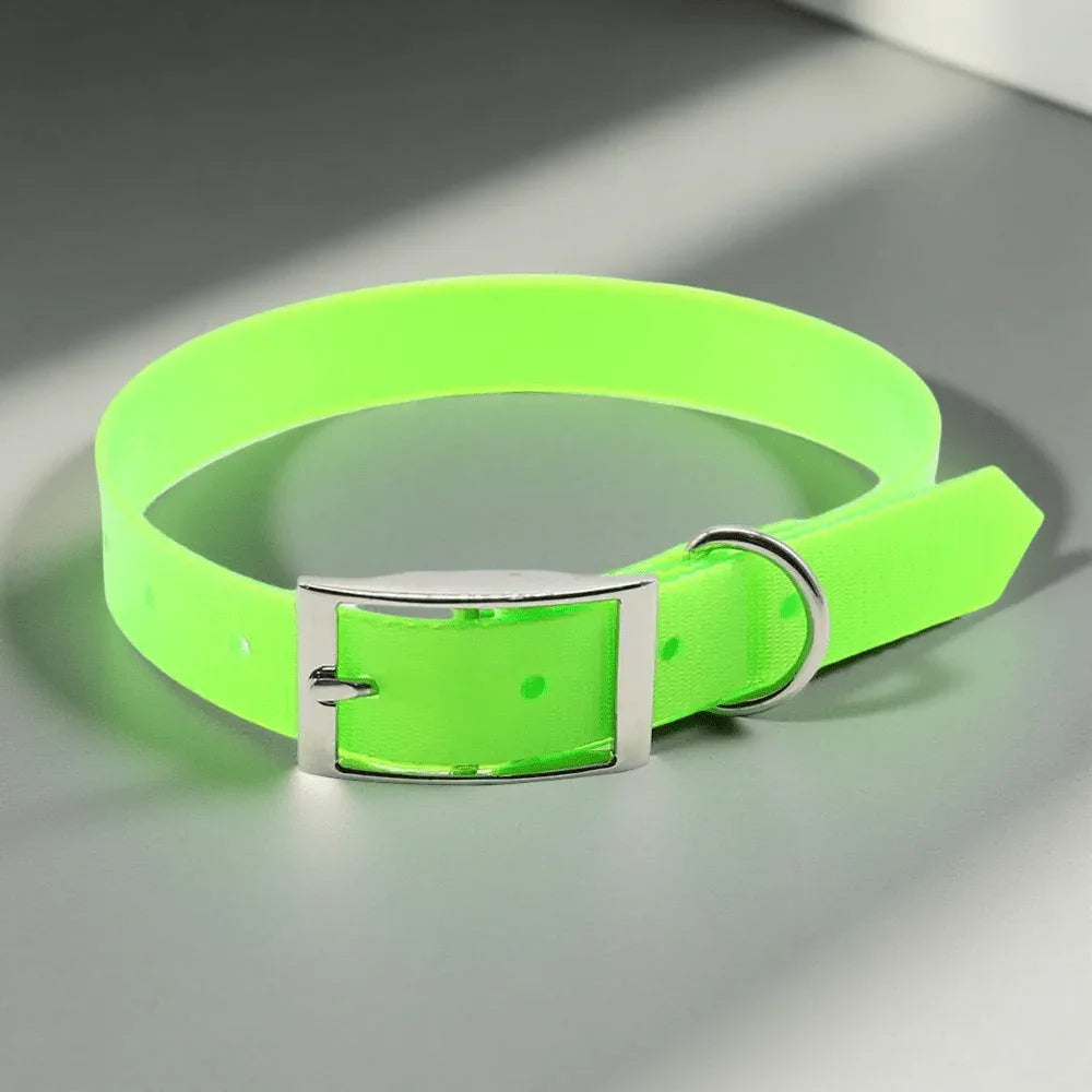 COLLIER CHIEN | TPU POLYURETHANE - Les chiens beaux