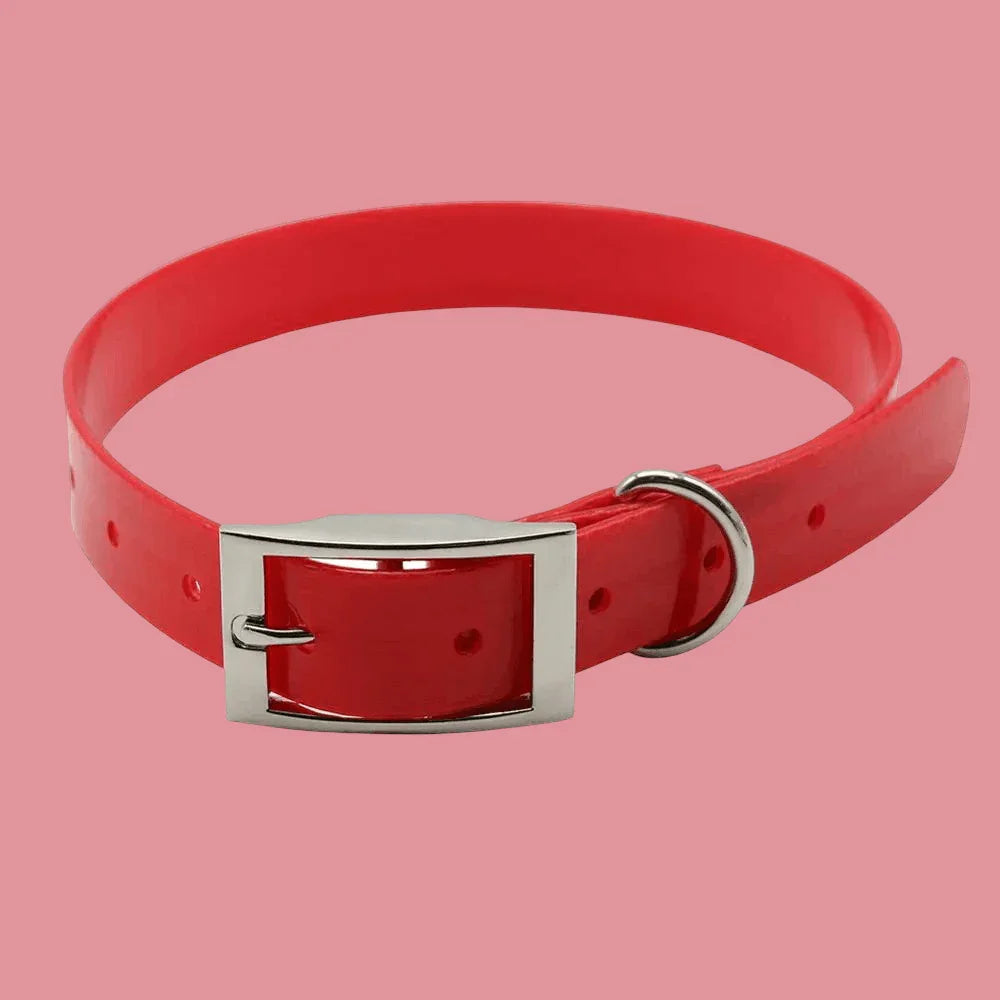 COLLIER CHIEN | TPU POLYURETHANE - Les chiens beaux