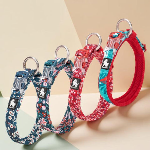 collier chien truelove joli