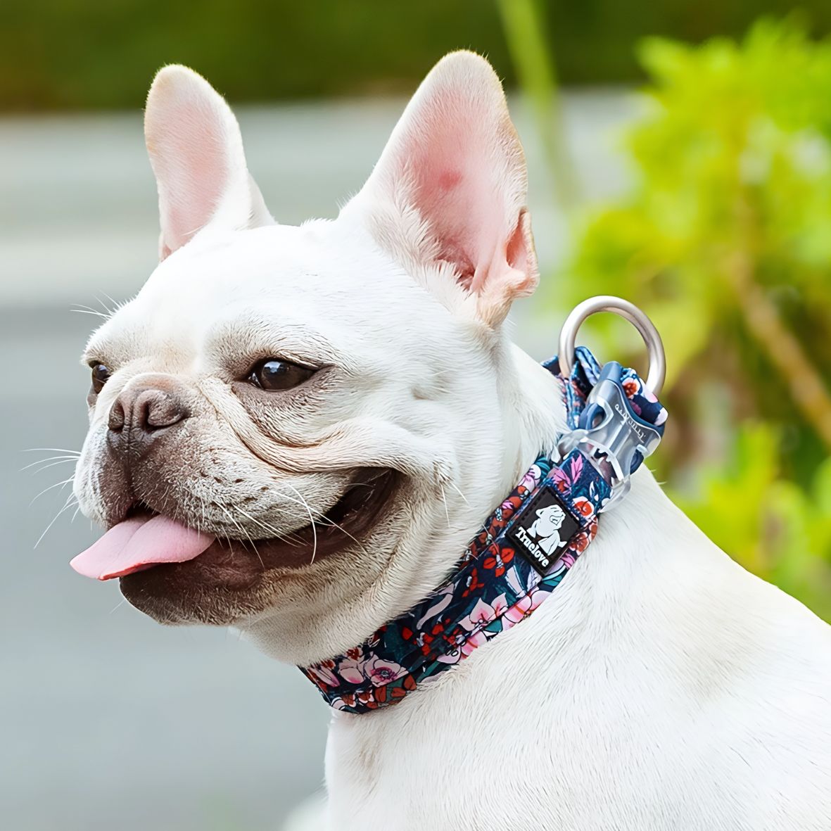 collier chien truelove navy blazer durable