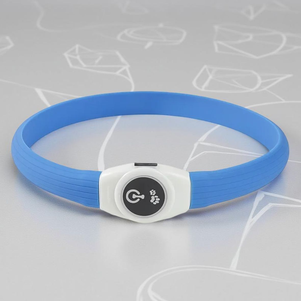 collier lumineux chien LED en PVC bleu