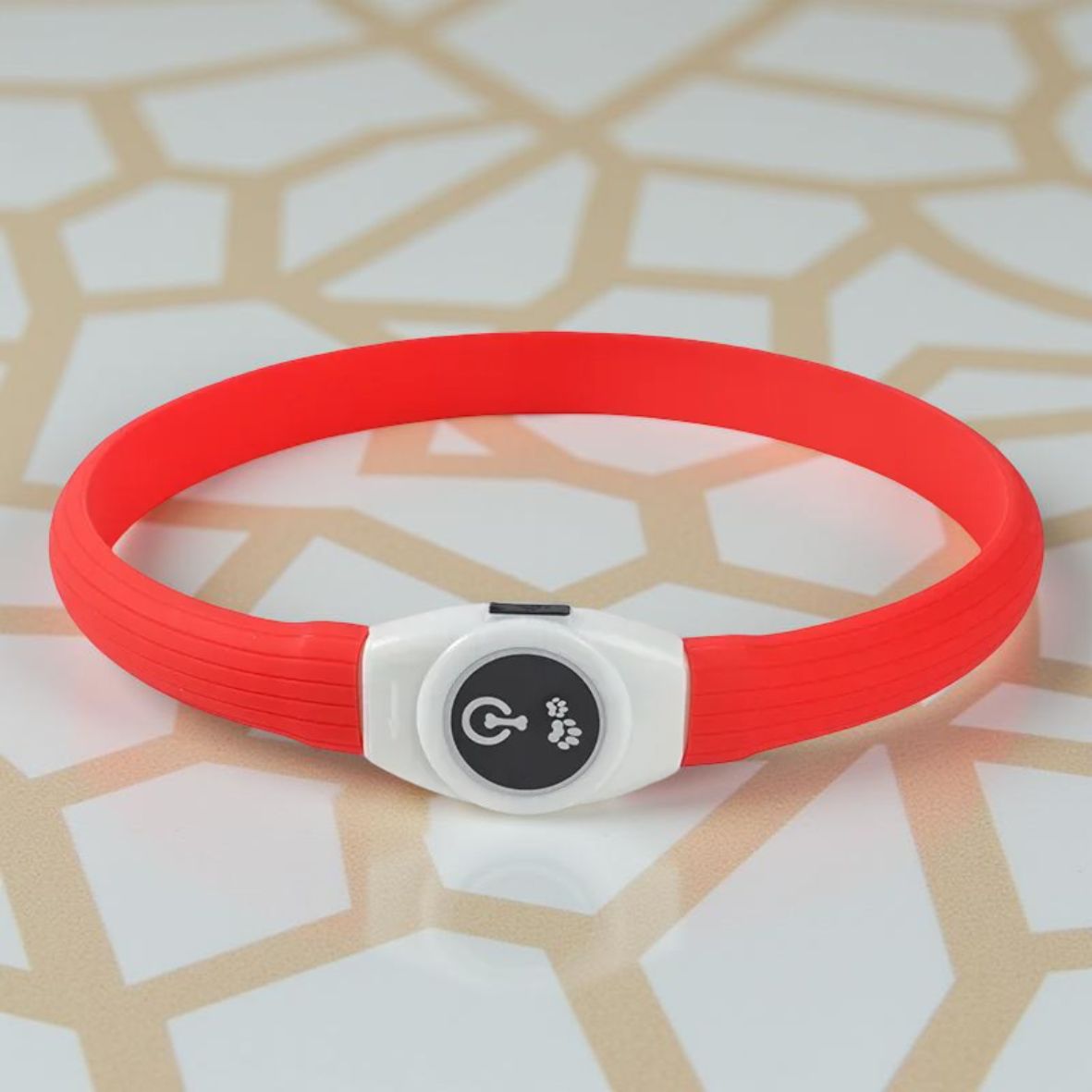 collier lumineux chien LED en PVC rouge