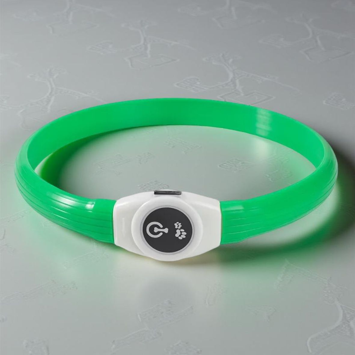 collier lumineux chien LED en PVC vert
